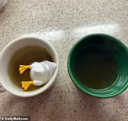 I started by making the tea using an infuser. However, three days in, I realized it would be best to boil the leaves in water on the stovetop to truly reap its benefits, rather than let it infuse in my otherwise cold tea (pictured L-R: infusion cup, stovetop cup)