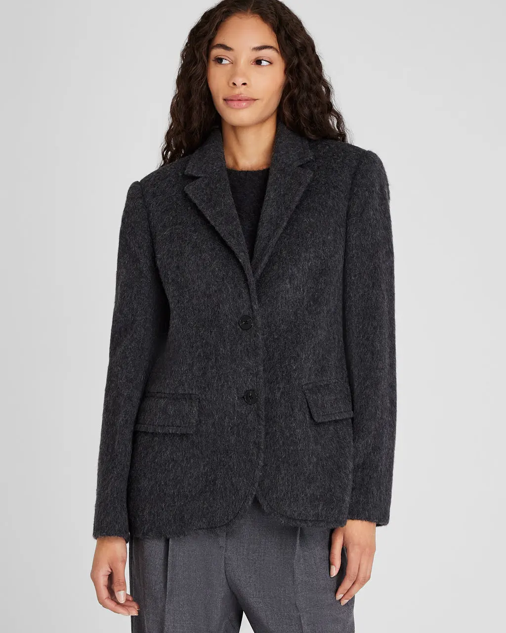Plush Single-Breasted Wool Blazer - 00p