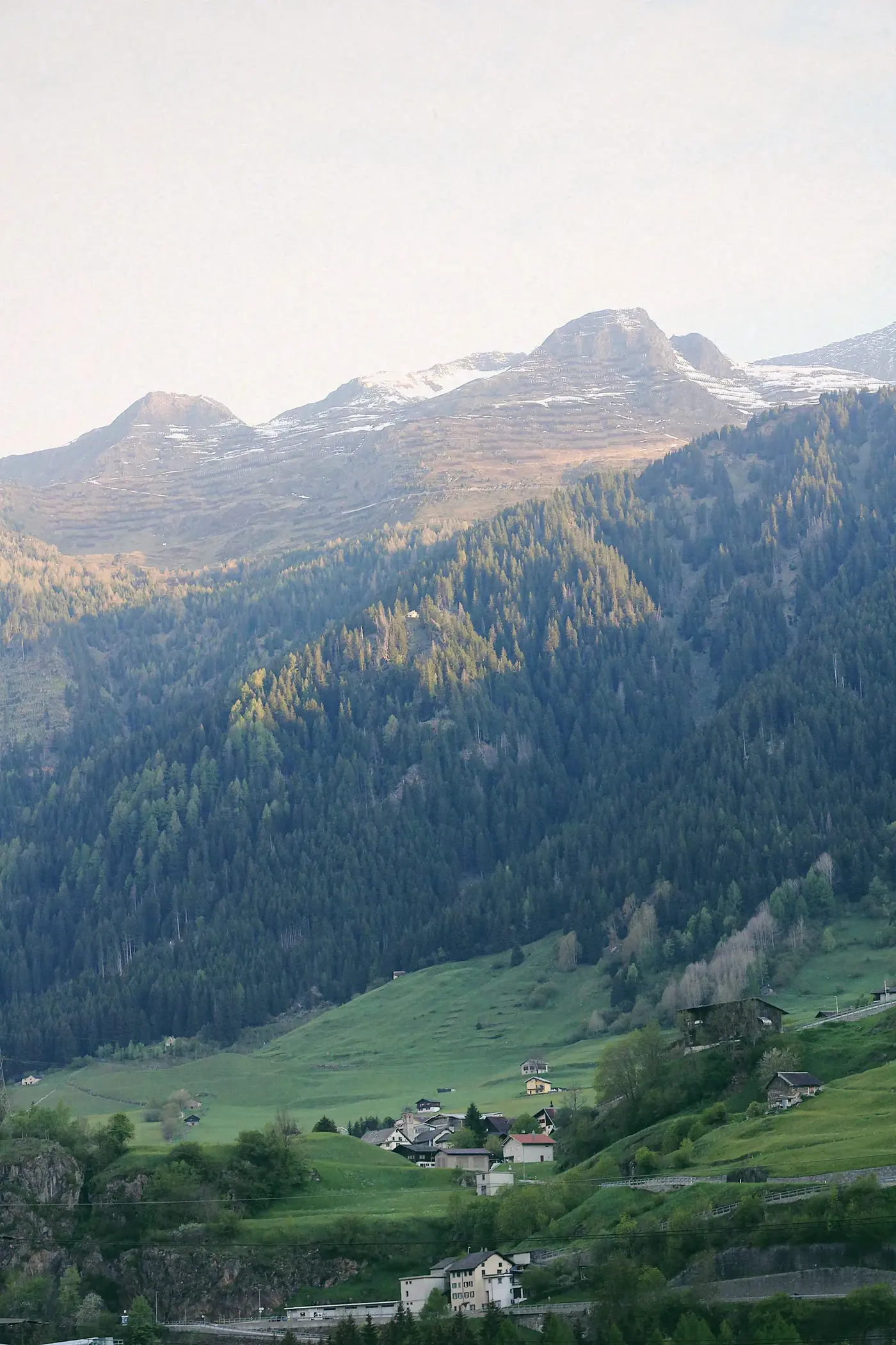 Image may contain Slope Nature Outdoors Wilderness Plant Tree Vegetation Landscape Grass Land and Woodland