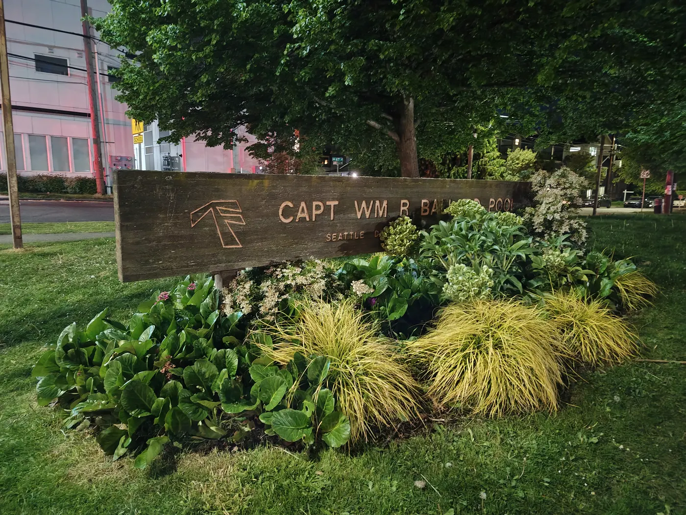A wooden sign with bushes covering part of it
