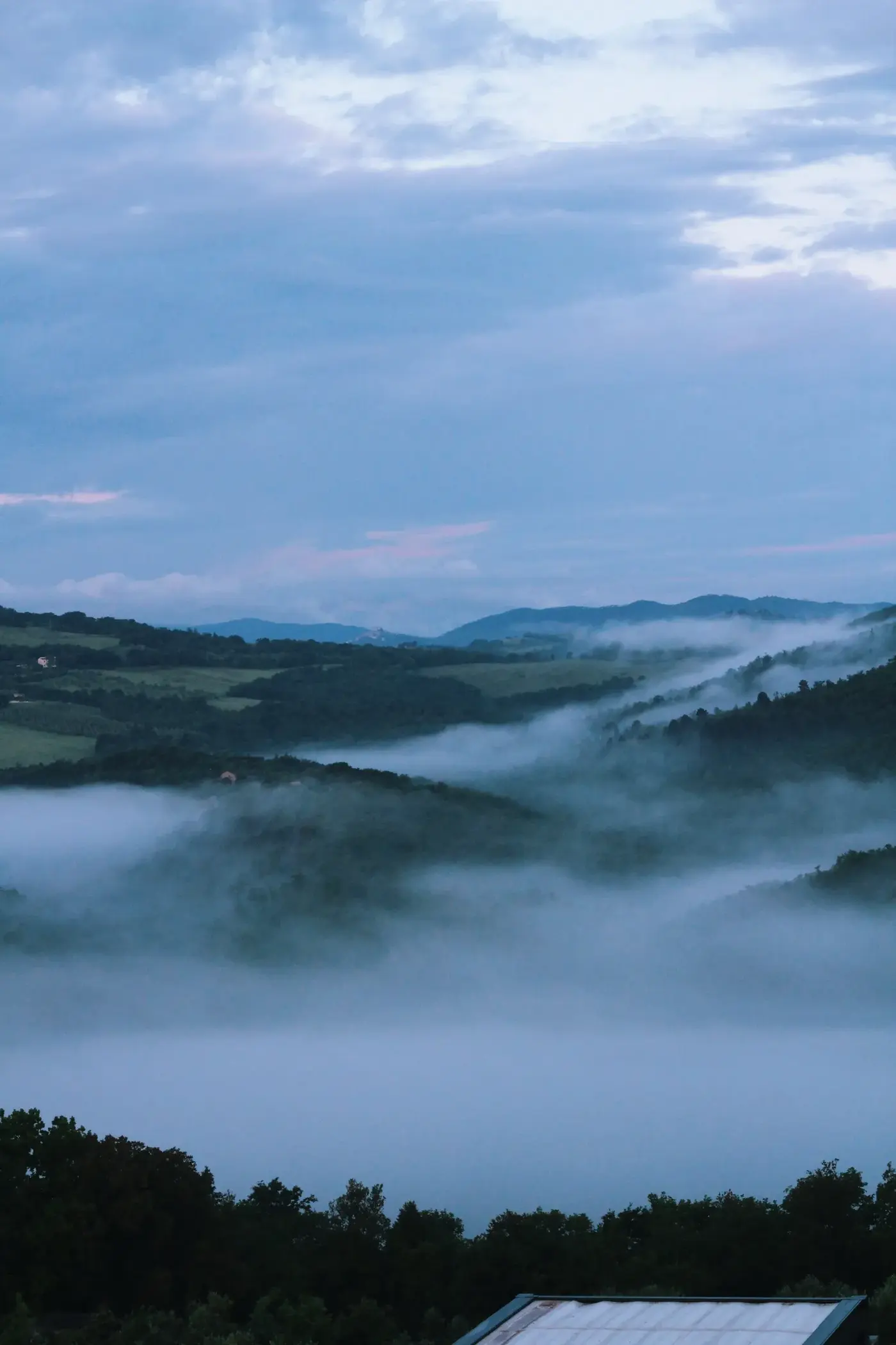 Image may contain Cloud Nature Outdoors Sky Landscape Weather Plant Vegetation Scenery Land Tree and Woodland