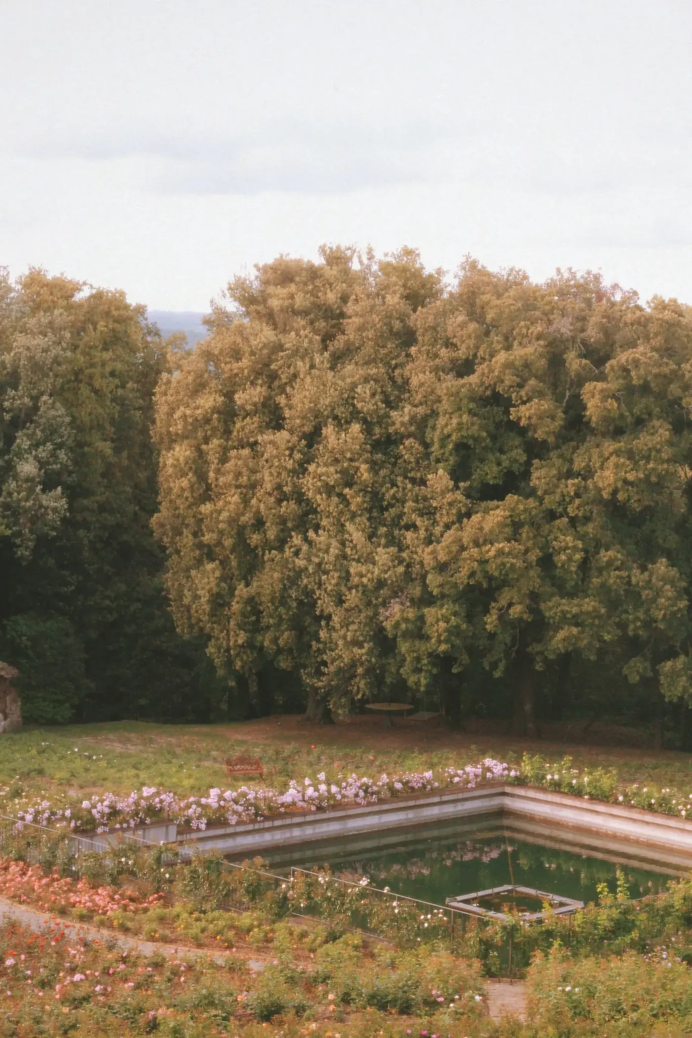 Image may contain Grove Land Nature Outdoors Plant Tree Vegetation Woodland Grass Park Pond Water and Garden
