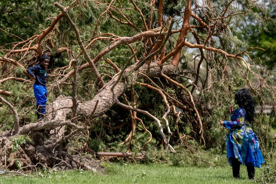 Isaiah Davis, 8, has his photo taken while posing on a fallen tree by his mother Felicia Brooks-Davis, all of Benton Park, on Saturday, May 17, 2025, in north St. Louis.
