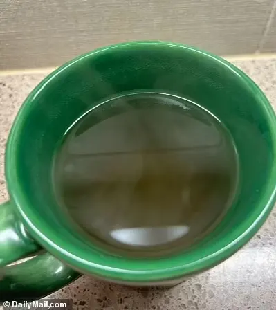 A freshly brewed cup of Yerba Mate tea