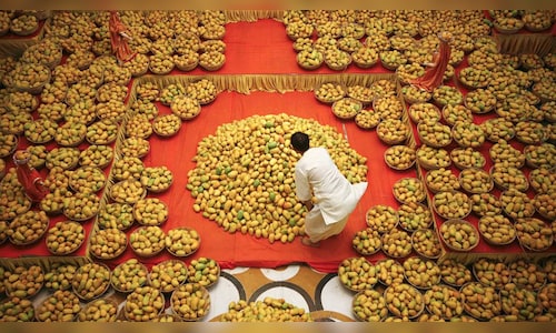 3,624 Metric Tonnes of Mangoes Exported from Mumbai Airport to London and New York.
