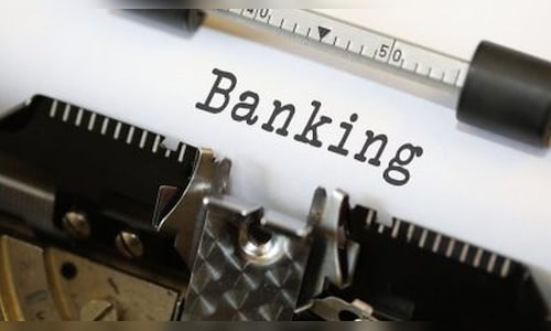 Alternative Perspectives on PSU Banks