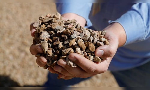 Government considers similar PLI initiative for domestic production of rare earth magnets, according to sources.