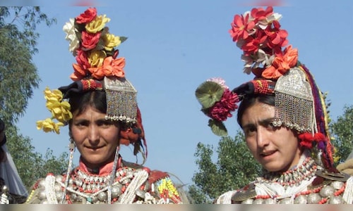 Indian Travel Agents Offer Full Support to Revitalize Tourism in Jammu and Kashmir