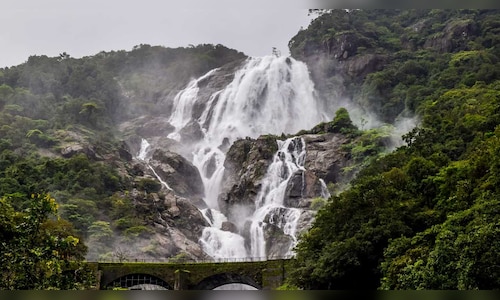 Monsoon Travel in Goa: Waterfalls Managed by the State Forest Development Corporation Now Welcoming Visitors