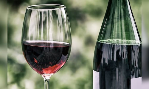 Sula Projects Positive Outlook for Indian Wine Industry as Economic Conditions Improve; Anticipates Recovery by FY26