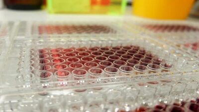 Syngene's Bengaluru facility clears US FDA inspection with VAI classification.