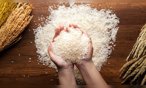 US-Iran Tensions Impact Basmati Exports from India; 100,000 Tonnes Delayed at Ports