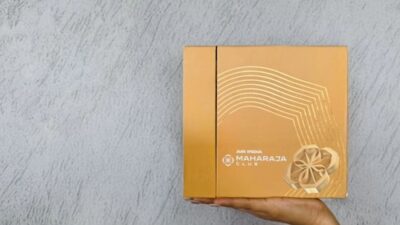 Air India Introduces Maharaja Club Packages: A Guide to Achieving Gold and Platinum Membership Status