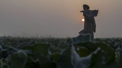 Weather Report: Low Visibility Leads to 60 Flight Cancellations in Delhi; Fog Expected to Continue in UP and MP