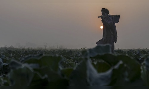 Weather Report: Low Visibility Leads to 60 Flight Cancellations in Delhi; Fog Expected to Continue in UP and MP
