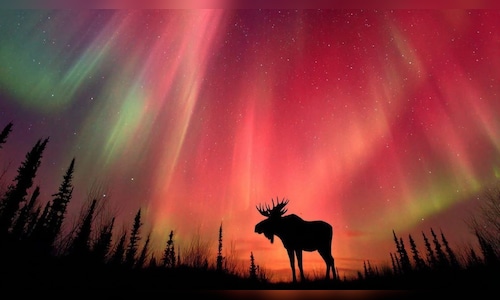 Auroras Illuminate the Sky Amidst Intense Solar Radiation Storm Hitting Earth