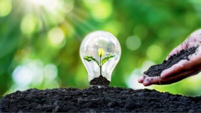 Batteries Key to Waaree Energy's Strategy; New 20 GW Manufacturing Facility Under Development: Abhishek Pareek