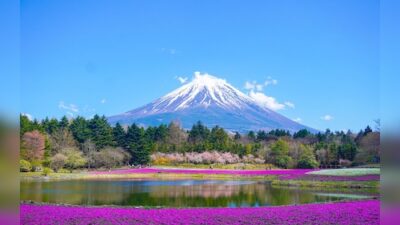 Chinese Tourist Numbers to Japan Plunge 45% in December Due to Dispute