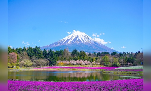 Chinese Tourist Numbers to Japan Plunge 45% in December Due to Dispute