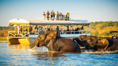 From Serengeti to Ranthambore: 7 Top Wildlife Sanctuaries to Explore This December