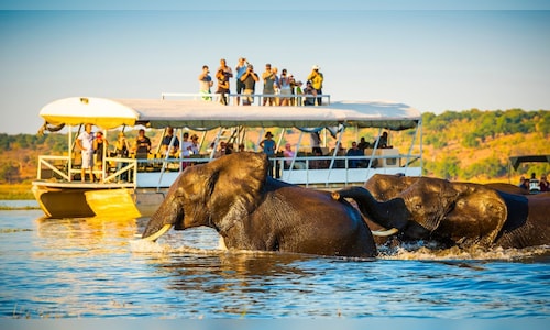 From Serengeti to Ranthambore: 7 Top Wildlife Sanctuaries to Explore This December