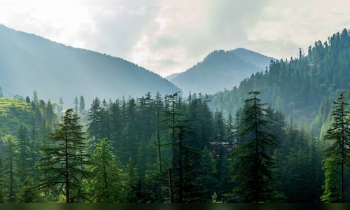 Himachal's Fish Output Expected to Hit 19,000 Metric Tonnes by FY26, Says Chief Minister