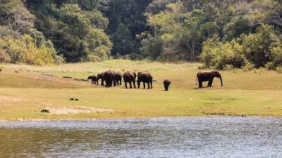 Idukki district to take measures against adventure tourism businesses operating without required permits.
