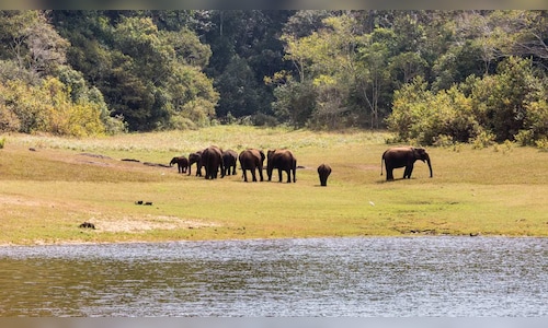 Idukki district to take measures against adventure tourism businesses operating without required permits.