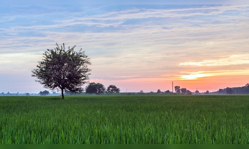 India's inaugural commercial tropical trout farm set to open in Hyderabad on Monday.
