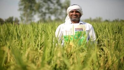 Rallis India Q3 Financial Update | Net Profit Plummets Fivefold to ₹2 Crore Due to Wage Code Provision