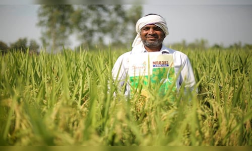 Rallis India Q3 Financial Update | Net Profit Plummets Fivefold to ₹2 Crore Due to Wage Code Provision