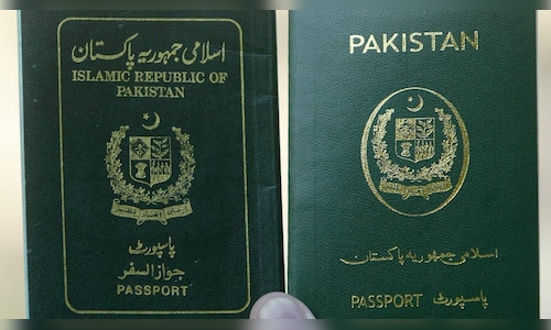 UAE Suspends Visa Approvals for Pakistani Nationals, According to Senior Interior Ministry Official