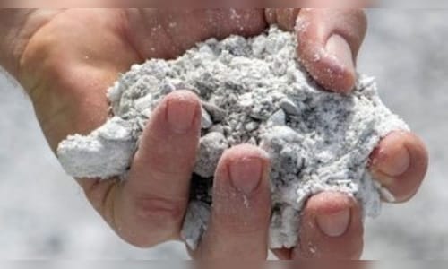 US to Advocate for Speedier Measures to Decrease Dependency on China for Rare Earth Elements