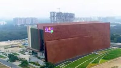 Zydus Wellness Focuses on Sugar-Free and Protein Markets Amid Changing Consumer Preferences