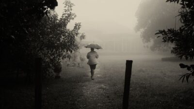 11:11 Weekend: Organizing a Monsoon Escape, Stricter Train Regulations, and the Increased Cost of Your Cherry Blossom Trip to Japan