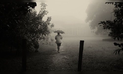 11:11 Weekend: Organizing a Monsoon Escape, Stricter Train Regulations, and the Increased Cost of Your Cherry Blossom Trip to Japan