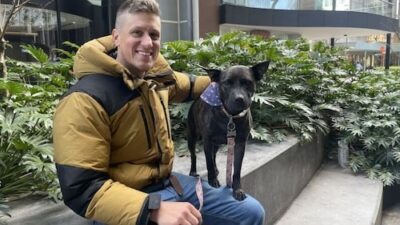 Australian man utilizes ChatGPT to battle his dog’s cancer; Sam Altman labels it an 'incredible tale'