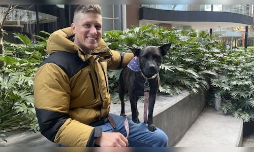 Australian man utilizes ChatGPT to battle his dog’s cancer; Sam Altman labels it an 'incredible tale'