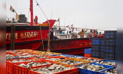 India supports WTO fisheries subsidy proposal aimed at protecting small-scale fishermen.