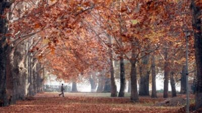 11:11 Weekend: Exploring Kashmir Across the Seasons, the Amarnath Yatra, Pet-Friendly Travel, and Mindful Eating