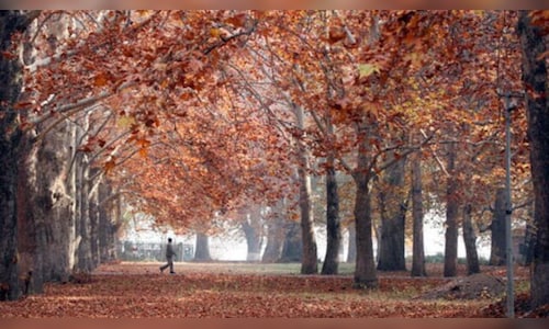 11:11 Weekend: Exploring Kashmir Across the Seasons, the Amarnath Yatra, Pet-Friendly Travel, and Mindful Eating