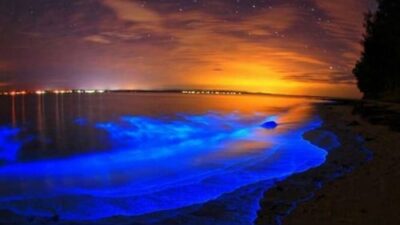 11:11 Weekend Update | Char Dham 2026 Launches; Kashmir Reopens Attractions; India’s Shimmering Beaches & More