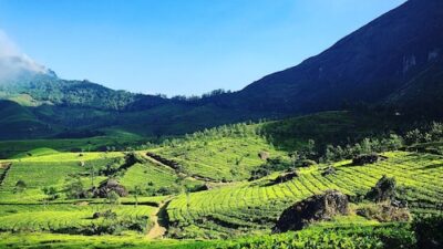 Exchange the rush for relaxation: 7 hidden gems to explore this summer