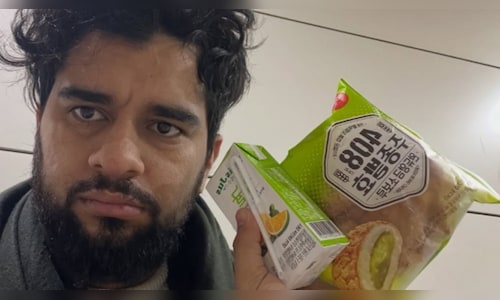 Indian Influencer's South Korea Getaway Becomes a Nightmare: Essential Tips You Need Before Traveling