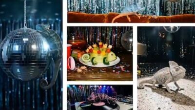 Introducing OpenAI's ChatGPT Images 2.0: What Sets It Apart from the Earlier Version