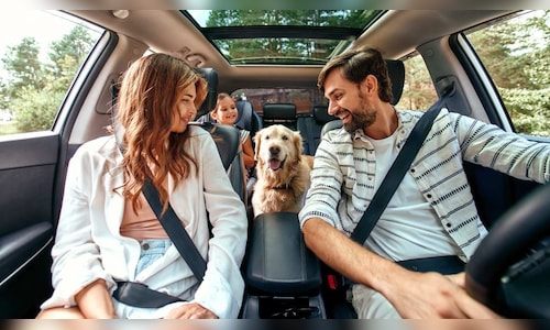 Pets are now organizing the journey in India.