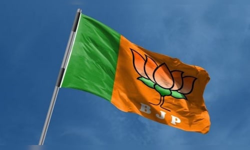 BJP's Debangshu Panda Claims Falta Assembly Seat in Surprise Victory, Breaking TMC's Dominance Following Election Commission's Repetition of Polls