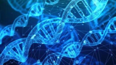 From Jeff Bezos to Sam Altman: Wealthy Individuals Making Significant Investments in Longevity Research