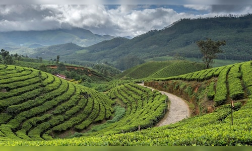 Indian Hotels Company Limited signs deal for a 55-room Tree of Life resort in Wayanad.