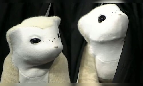 Innovative AI Companion Mimics Pet Behavior and Reacts to Human Emotions Instantly